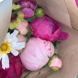 Meet your Posher, Ali